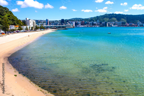 Oriental Bay beach, Pacific ocean waterfront and cityscape of Wellington, capital of New Zealand. 