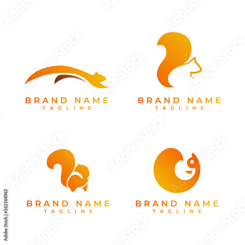 set of simple squirrel logo
