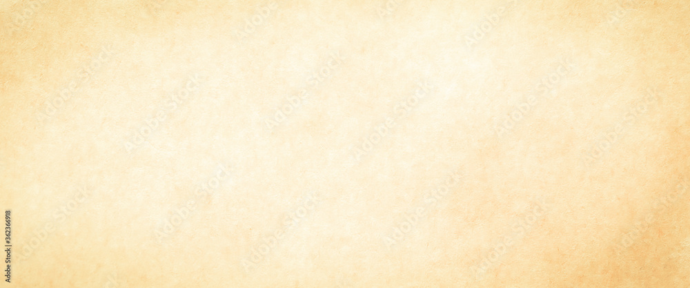 Obraz premium brown vintage paper background texture