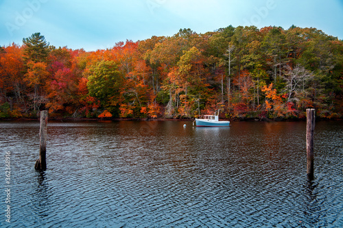 beautiful autumn connecticut forest and river