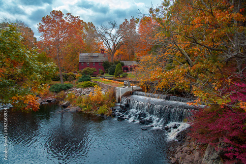 beautiful autumn connecticut forest and river