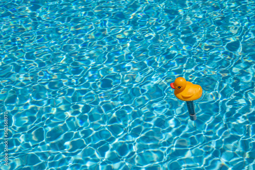 Yellow duck funny thermometer in swimming pool