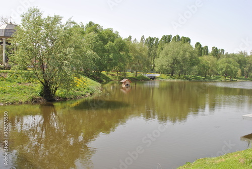 lake in the park