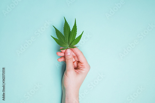 Hand Holding Single Marijuana Leaf Isolated by White Background