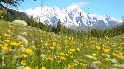 View of italian alps (Monte Bianco peaks, Aosta Valley), with green a meadow, high peaks with snow and glaciers. Blue sky and white clouds in the background 