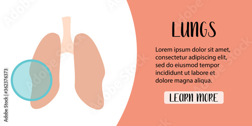 Human lungs. Pulmonology, lung inspection. Respiratory tract research. X-ray. Fluorography. Vector flat illustration. Perfect for banner, landing page, website