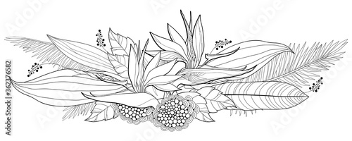 Bouquet of outline tropical Strelitzia reginae or bird of paradise bunch and palm leaf in black isolated on white background. 
