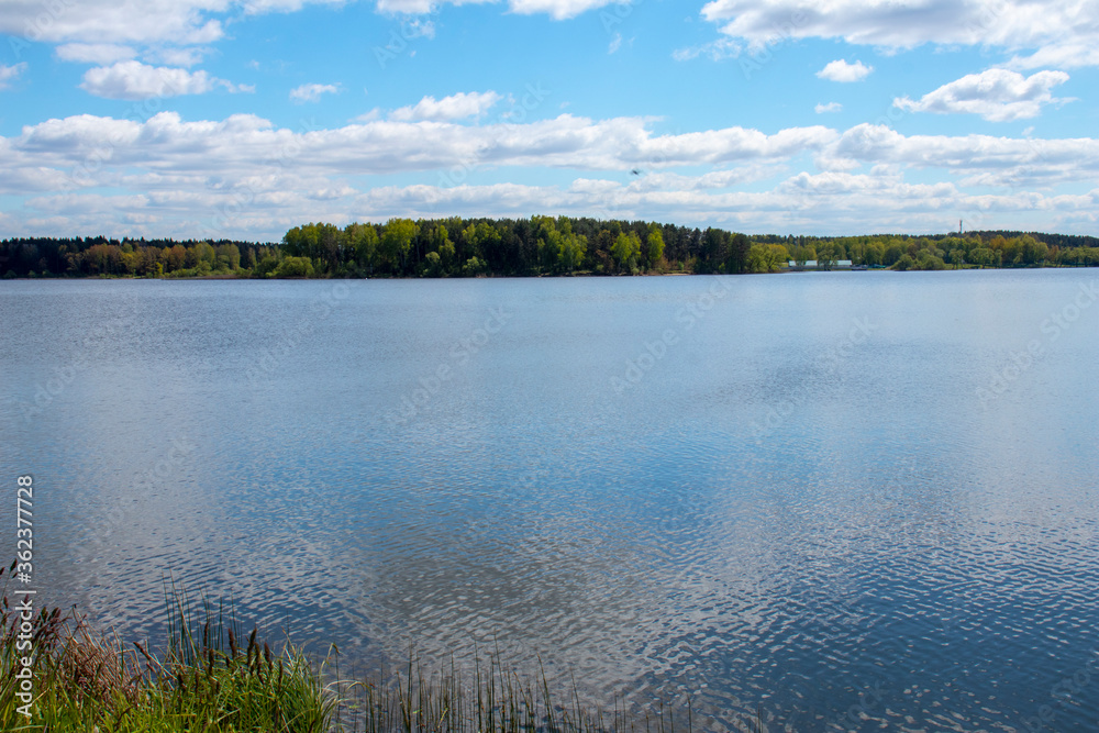 Lake in the forest. The blue sky is reflected in the water. Minsk sea. The concept of calm, peace and relaxation. Admiration for the beauty of nature.