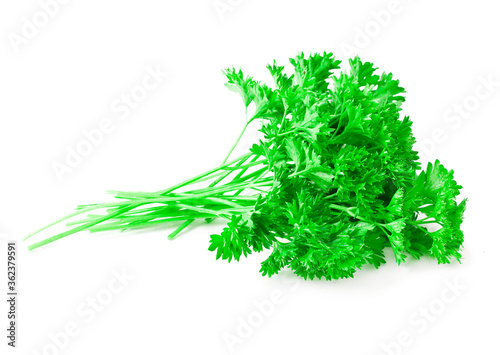 Fresh parsley leaves isolated on a white background.