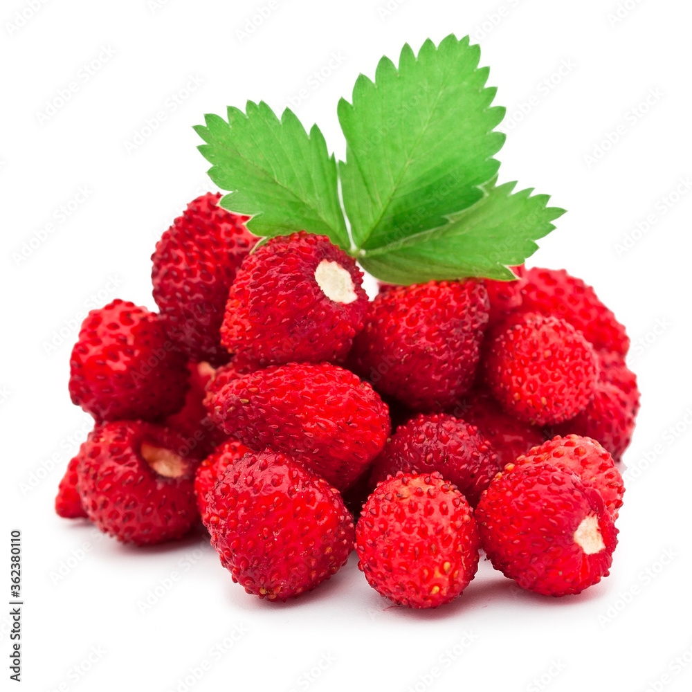 Fresh strawberries isolated on white background Fresh strawberries isolated on white background