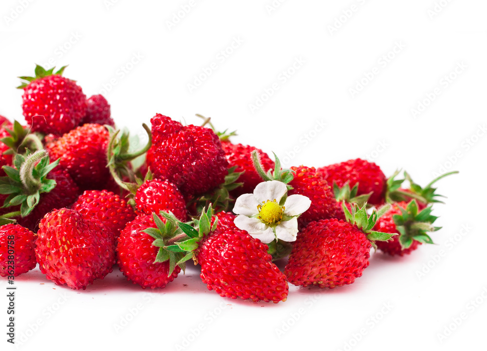 Fresh strawberries isolated on white background Fresh strawberries isolated on white background