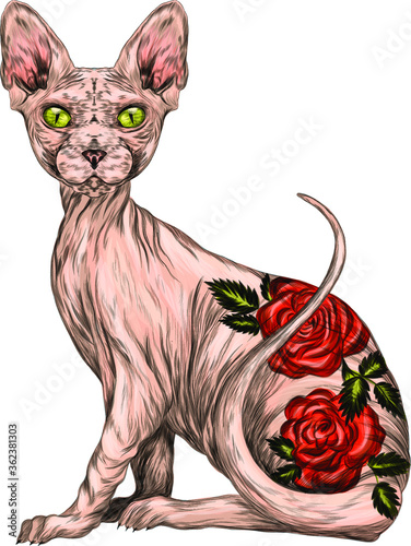 Sphinx bald cat with roses flowers decorative stylized tattoo vector illustration