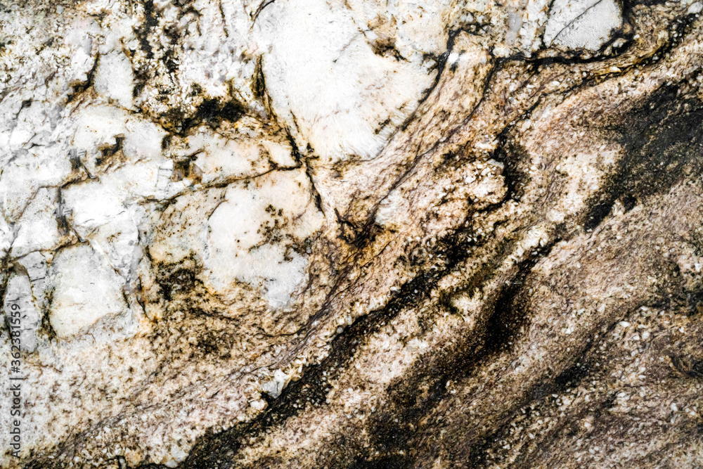 beautiful abstract natural texture background of white and dark brown color beautiful abstract natural texture background of white and dark brown color