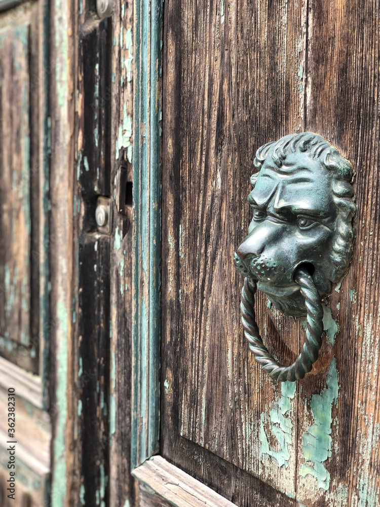 lion head shaped doorknob of an old wooden door