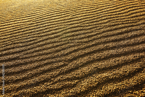 Abstract sand pattern in Sahara Desert, Africa © Rechitan Sorin