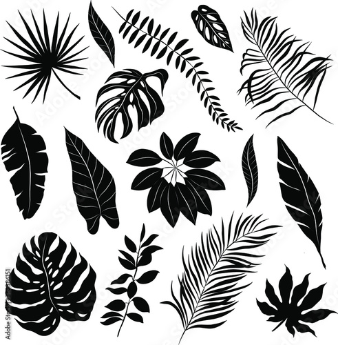 palm leaves set black and white vector illustration