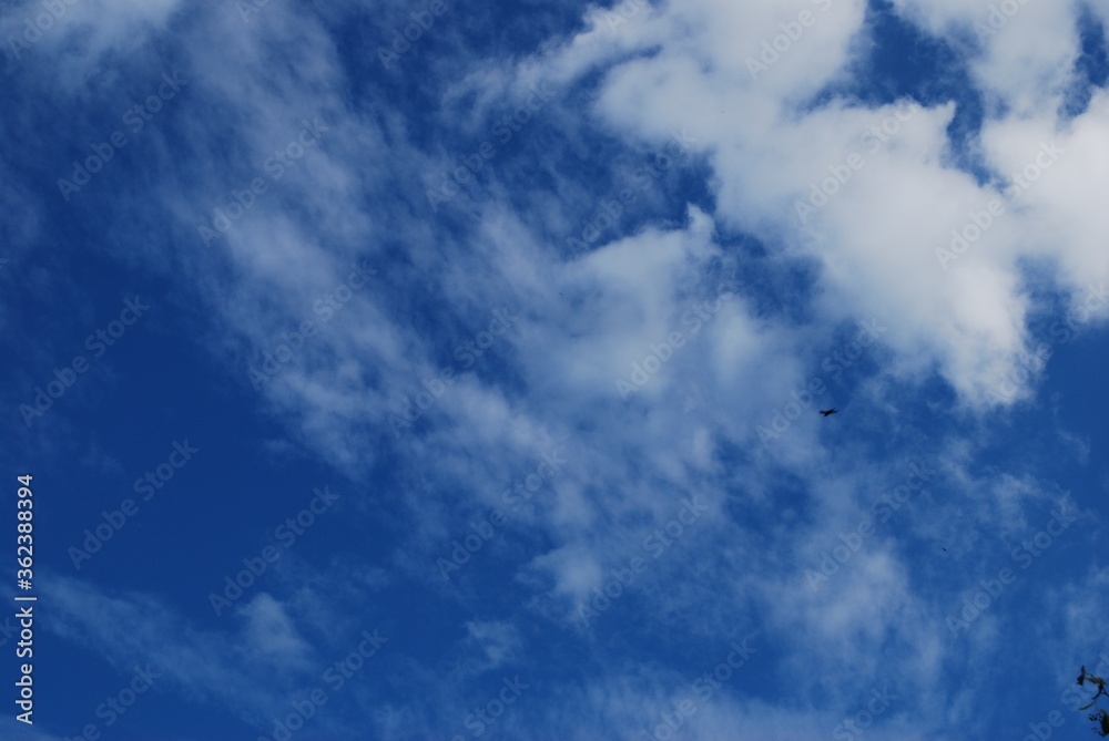 Fototapeta premium Sky