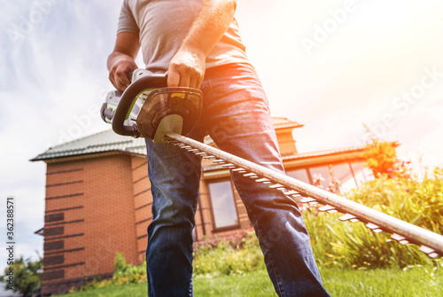 Fotografie A gardener trimming trees with hedge trimmer