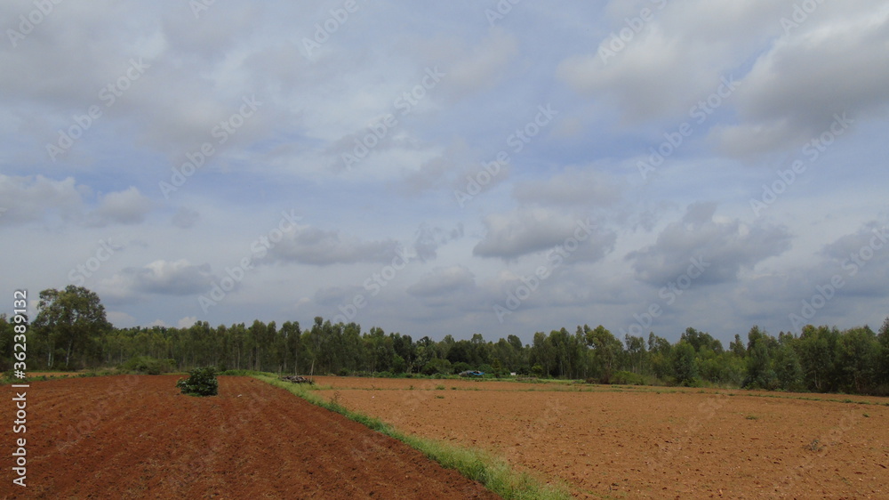rural landscape with a field