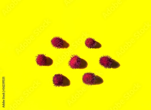 Close-up of rambutan fruit with yellow background. exotic fruits from Asia photo