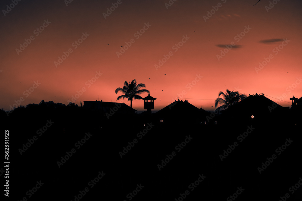 tall palm trees against a red sky with a long wooden trunk tall palm trees against a red sky with a long wooden trunk