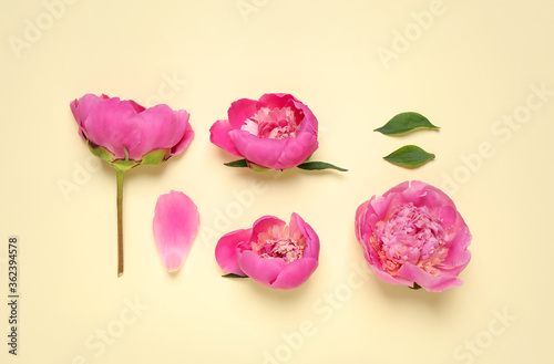 Fototapeta Naklejka Na Ścianę i Meble -  Beautiful pink peonies on beige background, flat lay