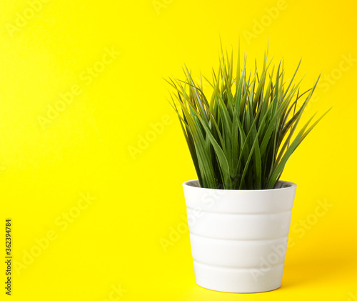 Beautiful artificial plant in flower pot on yellow background, space for text
