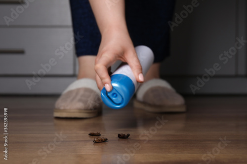 Woman spraying insecticide onto cockroaches, closeup. Pest control photo