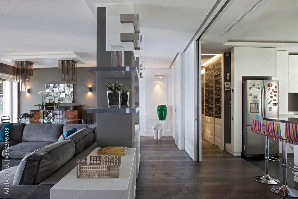 Obraz premium salone