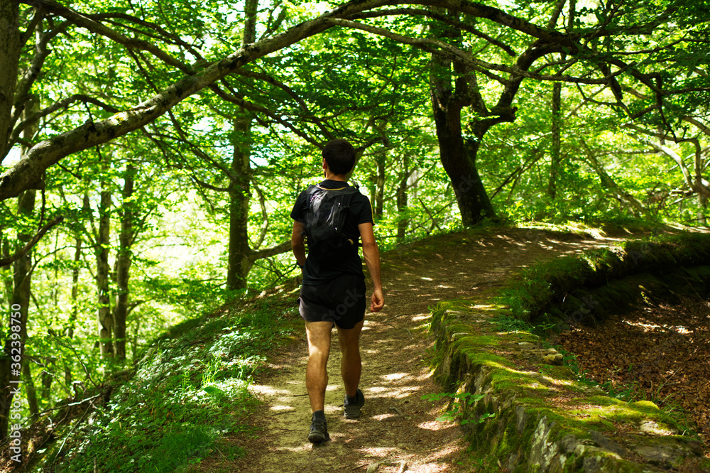 Fototapeta premium Young man hiking in the mountains
