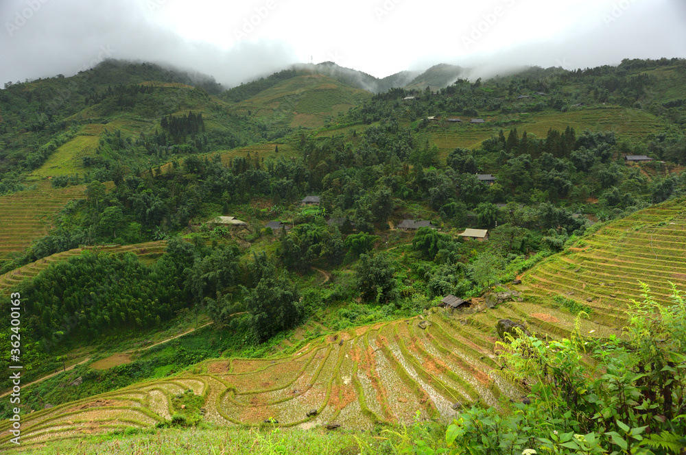 Misty mountains closed to Sapa rice fiels terraces in Vietnam