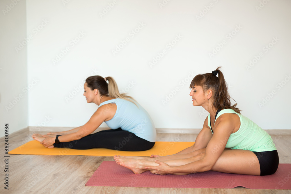 two beautiful adult women doing yoga at home two beautiful adult women doing yoga at home