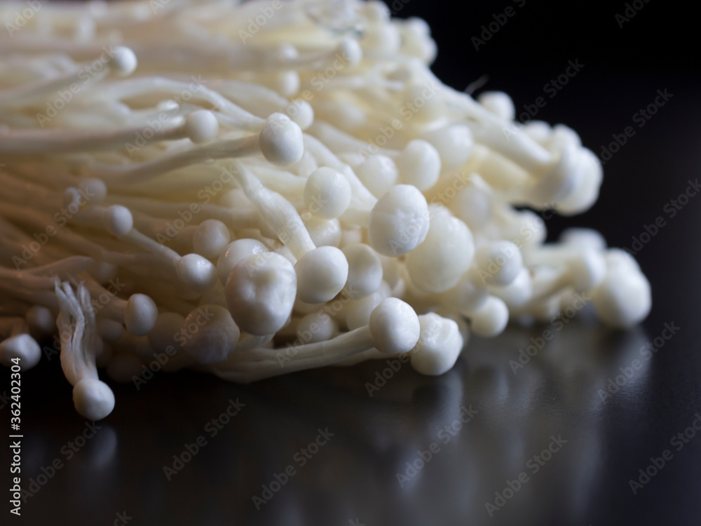 Enokitake or enoki Flammulina velutipes white mushroom on black background close up macro used i food and salads, golden needle mushroom or lily mushroom enokitaki Enokitake or enoki Flammulina velutipes white mushroom on black background close up macro used i food and salads, golden needle mushroom or lily mushroom enokitaki