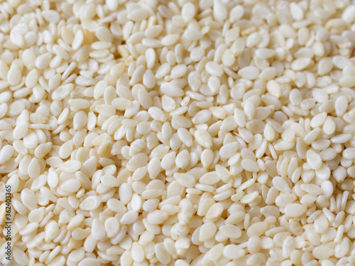 background of roasted sesame seeds close up photo