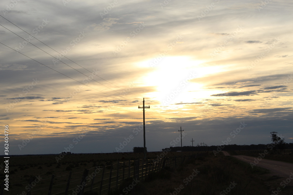 Obraz premium wind turbine at sunset
