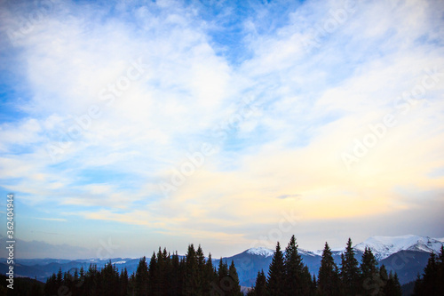 A tree with a mountain in the background