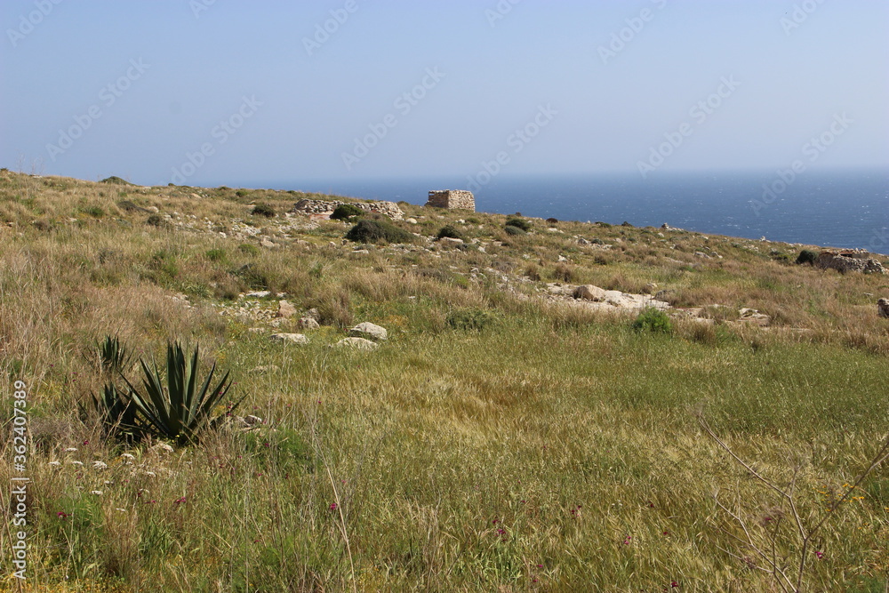 Obraz premium Végétation méditerranéenne dans la réserve naturelle de Ghar Hanex au-dessus de la mer (Malte)