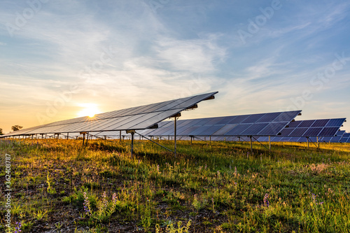 ground mounted photovoltaic power station at sunset photo