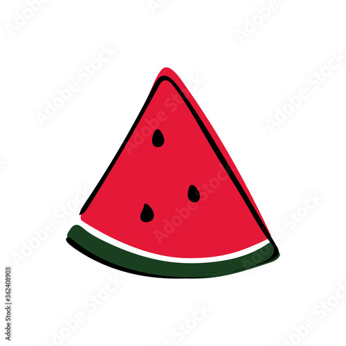 Watermelon slice on white background. Hand drawn illustration. Vector illustration