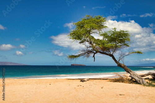 View of Molokini from Big Beach on Maui. © manuel