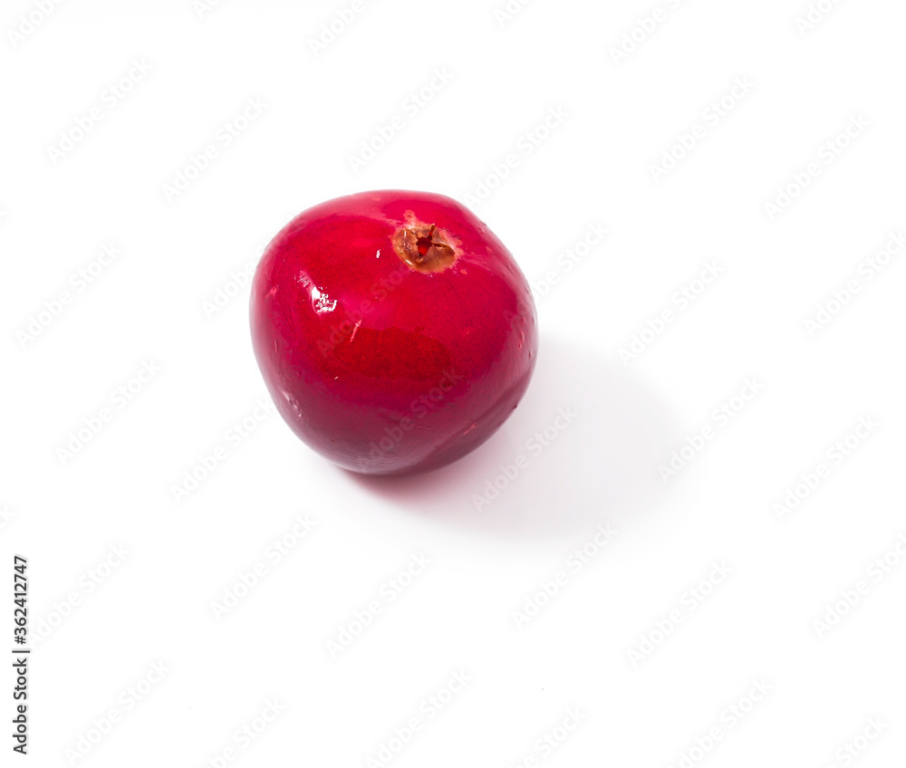 Cranberry isolated on a white background. Cranberry isolated on a white background.