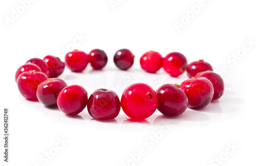 Round made of cranberries isolated on a white background.