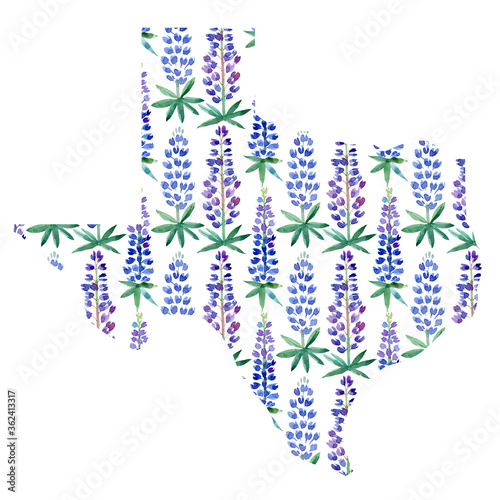 Texas map silhouette with hand drawn watercolor bluebonnets texture. The lone star state