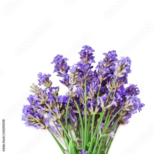 Bouquet of lavender flowers isolated on a white background.