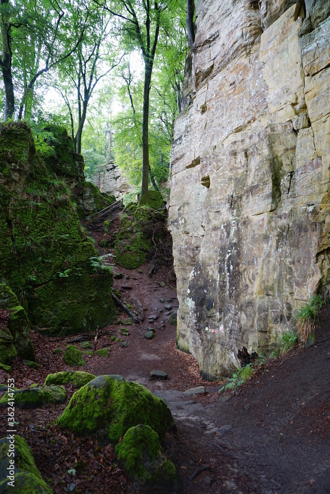 Wanderweg durch die Teufelsschlucht in der Eifel in Rheinland Pfalz - 
Hiking trail through the Teufelsschlucht in the Eifel in Rhineland Palatinate