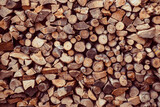 chopped wood wall, fuel for the winter 1