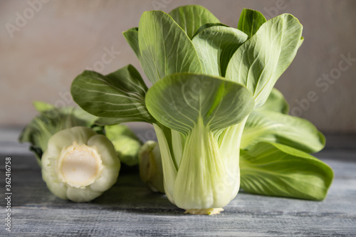 Fresh green bok choy or pac choi chinese cabbage on a gray wooden background. Side view, selective focus.