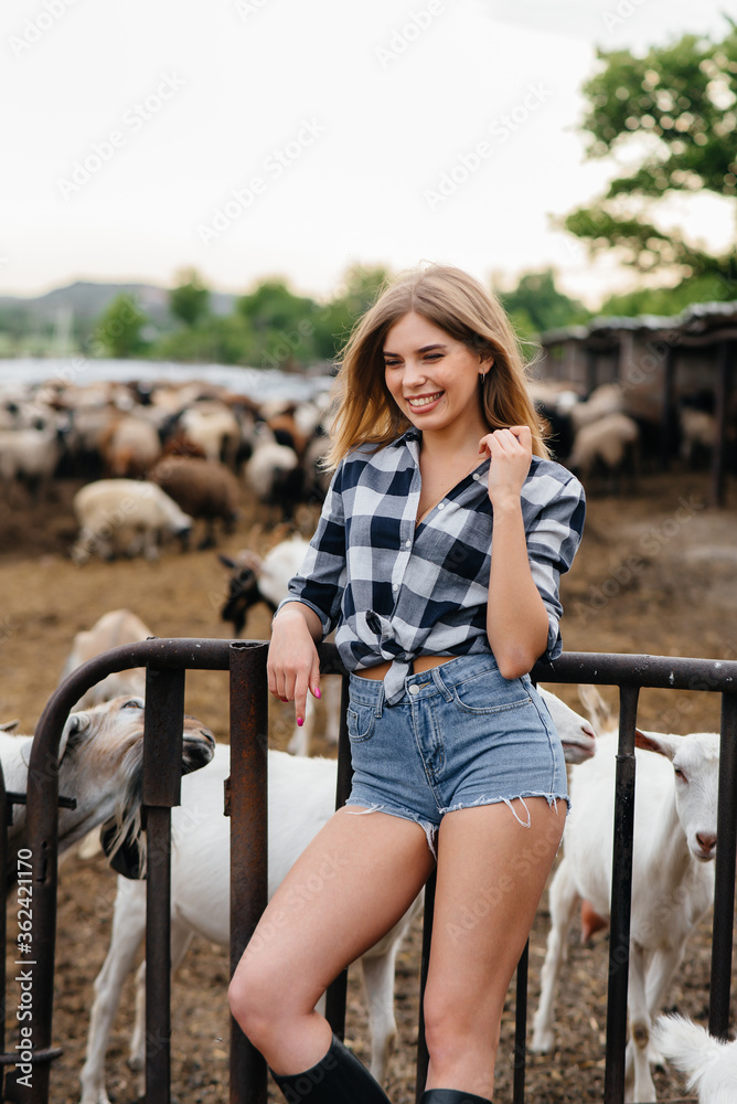 A young pretty girl poses on a ranch with goats and other animals. Agriculture, livestock breeding A young pretty girl poses on a ranch with goats and other animals. Agriculture, livestock breeding