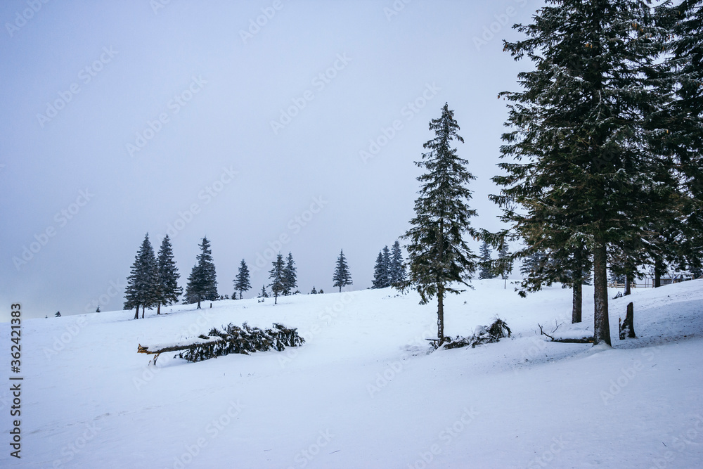 Fototapeta premium A snow covered slope a travel
