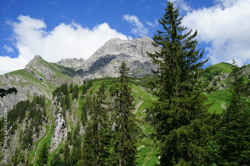 Fototapeta premium Widderstein, Kleinwalsertal